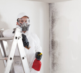 Professional mold removal service: Worker on ladder wearing protective suit, gloves, glasses and...