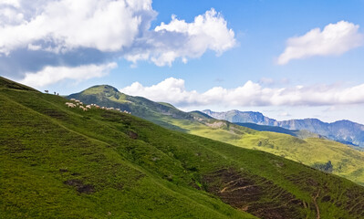 Obraz premium Collines vertes et hautes montagnes