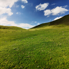 Herbe verte et montagne