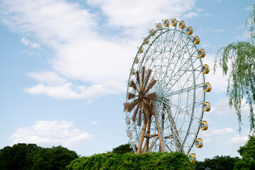 埼玉県の木々の中の青空と観覧車