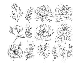 collection hand drawn floral illustrations featuring various flowers and leaves. Each design showcases intricate line work and unique botanical elements, perfect for use in art projects, invitations