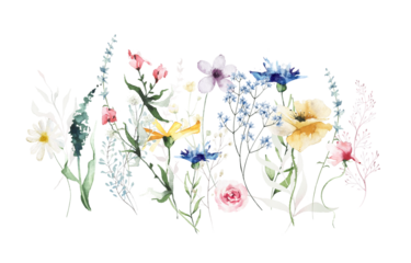 Watercolor painted floral border. Blue, yellow, red, violet wild flowers, green and pink branches, leaves. Growing meadow plants.