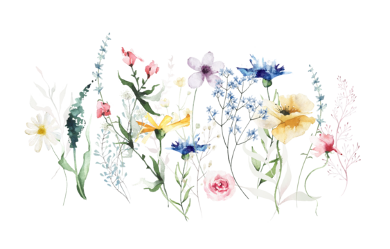 Watercolor painted floral border. Blue, yellow, red, violet wild flowers, green and pink branches, leaves. Growing meadow plants. - Powered by Adobe