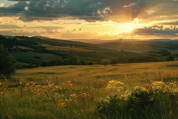 Obraz premium Rural landscape sunset panorama