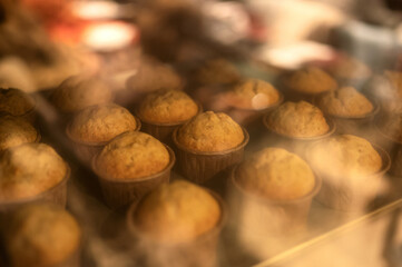 Muffins on baking sheet in oven. process of baking cupcakes. Lots of cupcakes in oven light....