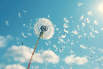 Dandelion seeds floating in the air with copy space image
