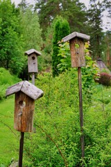 bird house in the forest