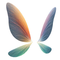 translucent wings of fairy, PNG