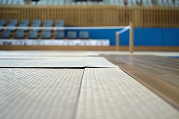 Textured Olympic Karate Tatami Mats Detailed Shot for Competition Setting Design