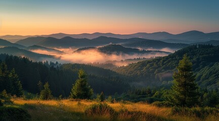 Sunrise Over Misty Mountains in the Black Forest