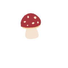 fly agaric mushroom