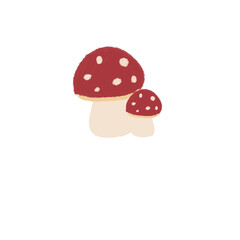 fly agaric mushroom