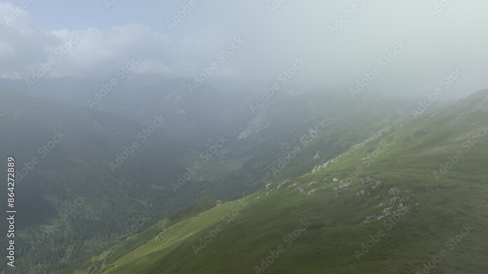 Poster a fog-veiled mountain range with trees along its sides and bushes on the opposing slopes