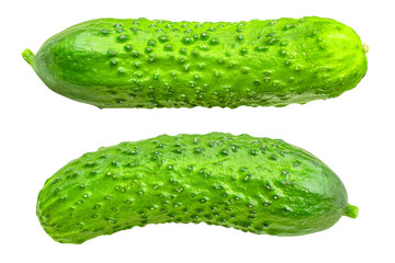 Young fresh cucumbers isolated on a transparent background.