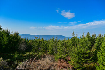Fototapeta premium Panoarmablick in den Schwarzwald vom Erlebnispfad Lotharpfad, Wanderweg auf Wald und Berge im Nordschwarzwald im Sommer, Baiersbronn, Schwarzwald, Baden-Württemberg, Deutschland