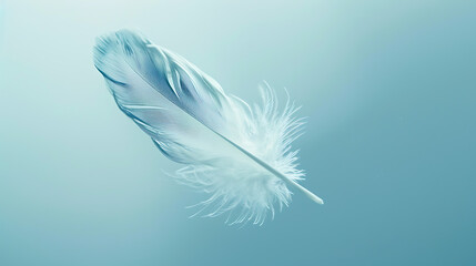 Feather Floating in Mid-air on a Soft Blue Background - Symbolizes lightness, freedom, or delicate ideas.