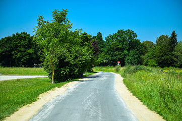 road in the park