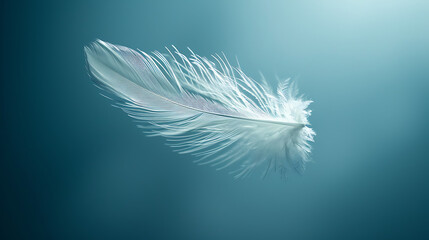 Feather Floating in Mid-air on a Soft Blue Background - Symbolizes lightness, freedom, or delicate ideas.
