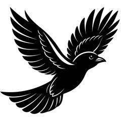 flying-bird-silhouette-black-and-white