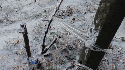 italian hill and vineyard frozen