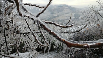 italian hill and vineyard frozen