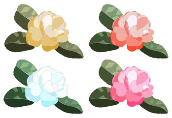 Illustration of deformed camellia