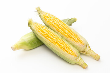 白背景に新鮮なトウモロコシ