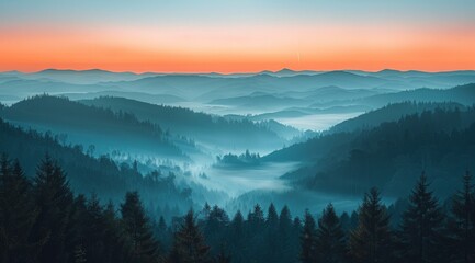 Obraz premium Mountain Forest Landscape With Mist And A Sunrise Sky