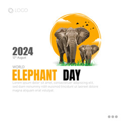 Elephant Day celebrated on August 12th, raises awareness about the urgent need to protect elephants