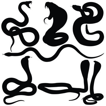 Silhouette venomous snake, snake collection, desert snake, isolated snake silhouette, animal collection,
Black and white venomous snake illustration