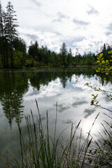 Bergpanorama und Naturwunder: Die Koppenwinkellacke in Obertraun, Salzkammergut, Österreich