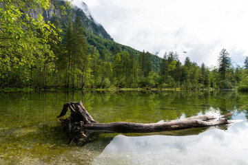 Bergpanorama und Naturwunder: Die Koppenwinkellacke in Obertraun, Salzkammergut, Österreich