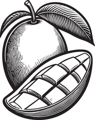 Mango fruit full and sliced vector illustration on white background.