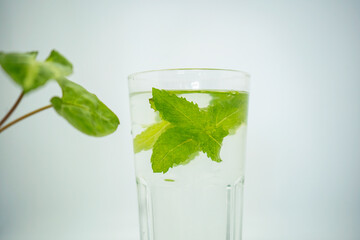 A glass of Mint Lemonade Water in it  with Green leaves Isolated Cold Lemon Gin Tonic 