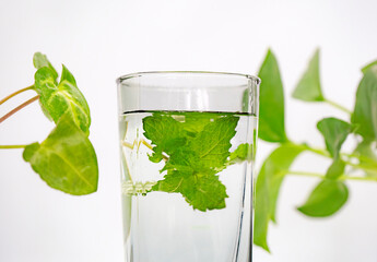 A glass of Mint Lemonade Water in it  with Green leaves Isolated Cold Lemon Gin Tonic 