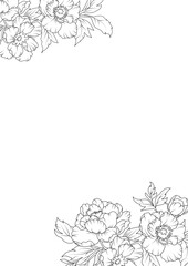 Peony flowers invitation border frame
