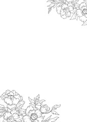 Obraz premium Peony flowers rectangle border frame