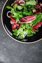 salad duck breast snack smoked meat magret fresh appetizer meal food on the table copy space food background