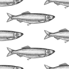 Vintage Style Herring Seamless Pattern. Vector Hand Drawn Fish Background. High Quality Old Fashion Illustration