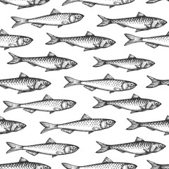 Vintage Style Anchovy Seamless Pattern. Vector Hand Drawn Fish Background. High Quality Old Fashion Illustration