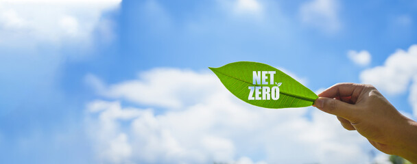 The concept of net zero and carbon neutrality Net zero message in a bubble with forest for the goal...