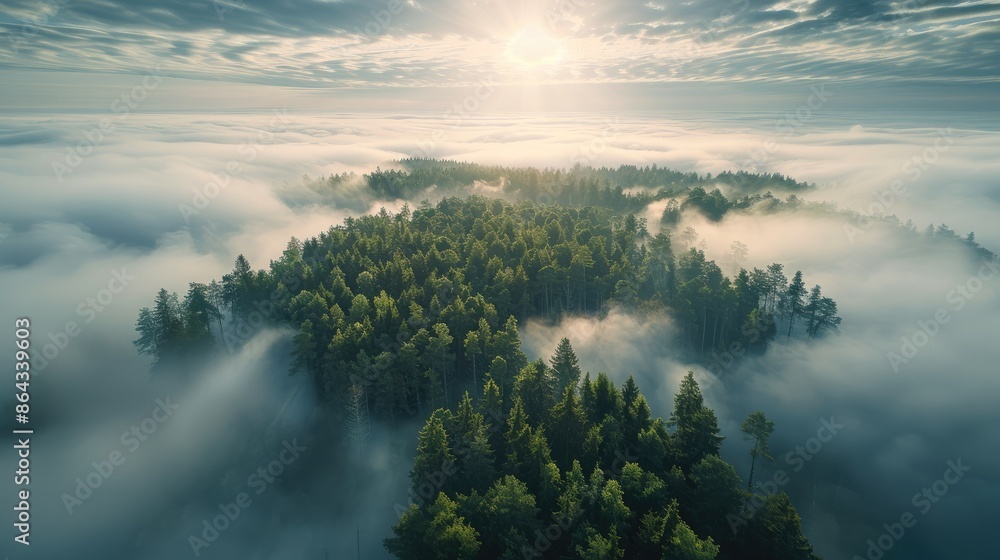 Poster An endless forest of trees growing through a sea of clouds towards an infinite horizon, Insanely Detailed and Intricate. Aerial high view. Generative AI.