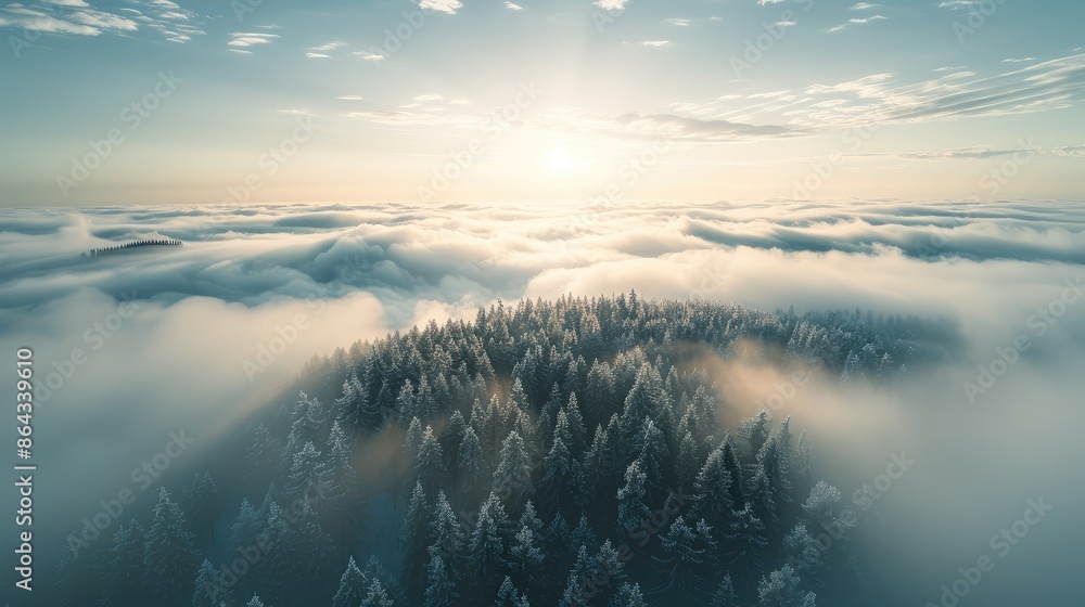 Aufkleber An endless forest of trees growing through a sea of clouds towards an infinite horizon, Insanely Detailed and Intricate. Aerial high view. Generative AI.