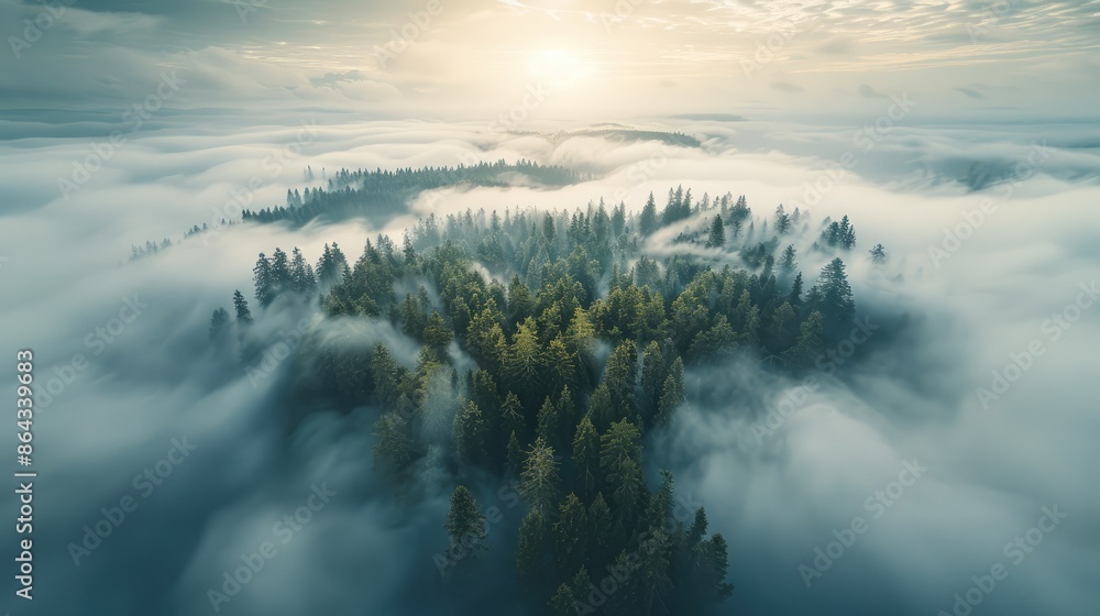Poster An endless forest of trees growing through a sea of clouds towards an infinite horizon, Insanely Detailed and Intricate. Aerial high view. Generative AI.