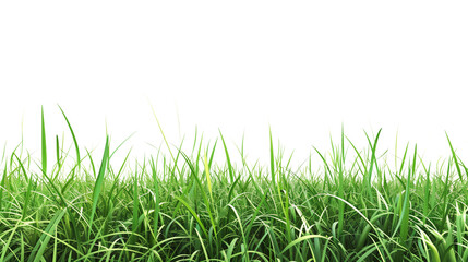 Obraz premium Lush Green Grass Meadow 3D Illustration. A highly detailed 3D illustration of a lush green grass meadow, with vibrant