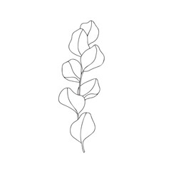 Vector hand drawn minimalist botanical art. Leaves outline drawing.