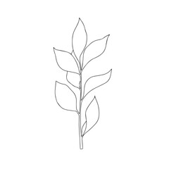 Vector hand drawn minimalist botanical art. Leaves outline drawing.