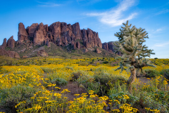 Superstition Mountain Spring