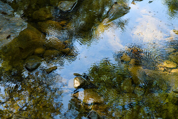 Obraz premium Riflessi