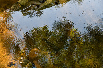 Riflessi